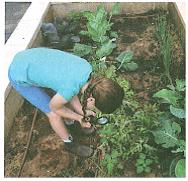 (בספר איור של נוגה ושביט משוחחים)